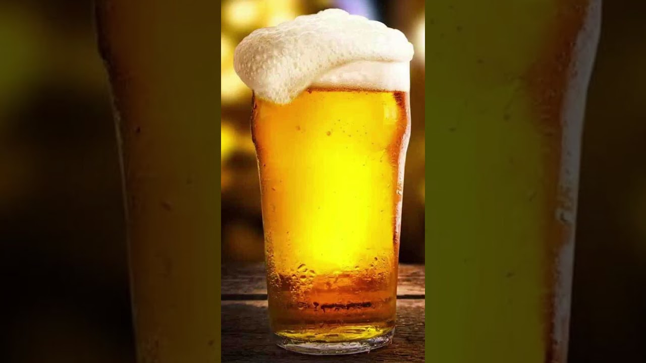 STARTER BEER? #bartender #beer #brewery #craft  #cocktailbartender