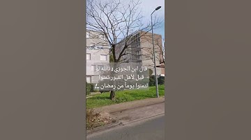 #قرآن #سورة_البقرة #surahalbaqarah #البقرة #سورة #tilawat #اكسبلور #المصحف