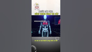 Người Đàn Ông Sống Trong Quan Tài Sắt