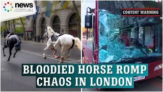 Chaos as blood-soaked army horses break free in London, injuring at least 5 people