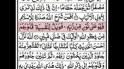 قراءة جميلة لسورة الزمر بصوت القارئ رعد محمد الكردي #surahzumar