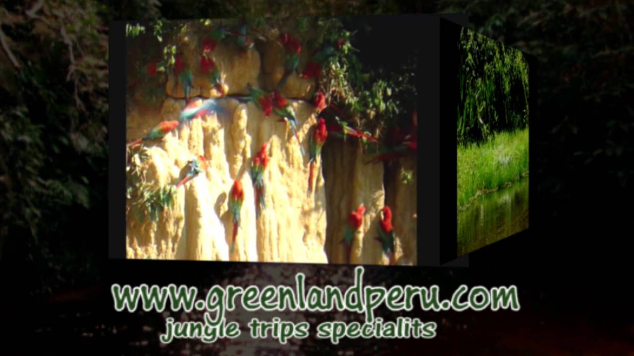 green land peru Manu Amazon trips responsible Eco Tourism