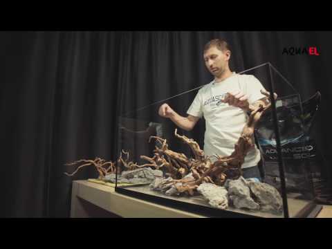 Wideo: Jak Urządzić Akwarium