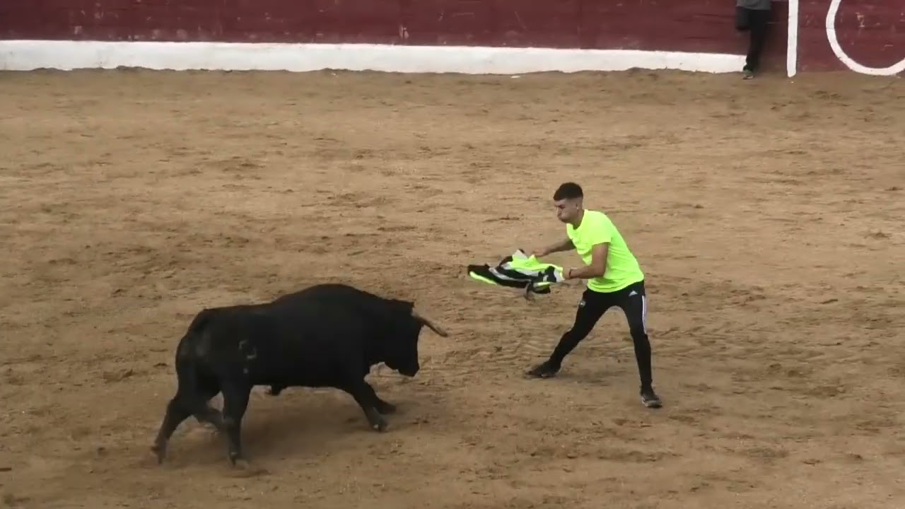 NAVA DE LA ASUNCION (SEGOVIA)  ENCIERRO CAMPO Y  CAPEA 21- 9- 2024