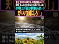 【スカッとする話】義父「今日から同居する、家事頑張れw」義母「あんたの会社は女の遊びでしょw」次の瞬間、夫の「秘密」が義両親を凍らせた…！夫「いい加減にしろ！」