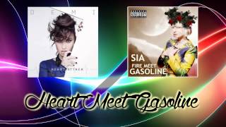 Download lagu Sia & Demi Lovato - Heart Meet Gasoline (Mashup)