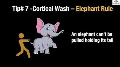 Episode 8 :  Tips for MSICS ( Part 2)