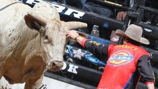 Meet Shorty Gorham, a bull rider's best friend – Orange County