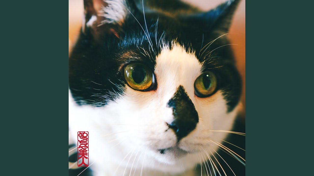 works " めっちゃ美人「猫は鏡越しに、」"