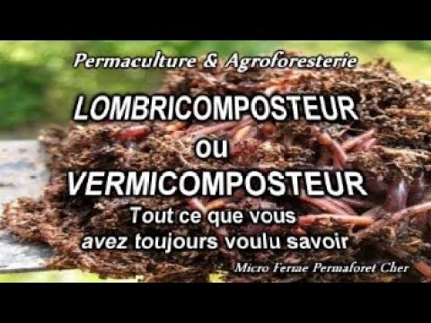 Différence entre Compostage et Lombricompostage ? - ViVERT
