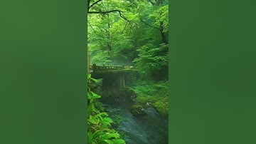 @آيات بينات من سورة القيامة