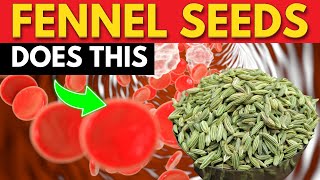 5 Amazing Health Benefits of Fennel Seeds (Its More Than Just a Spice)