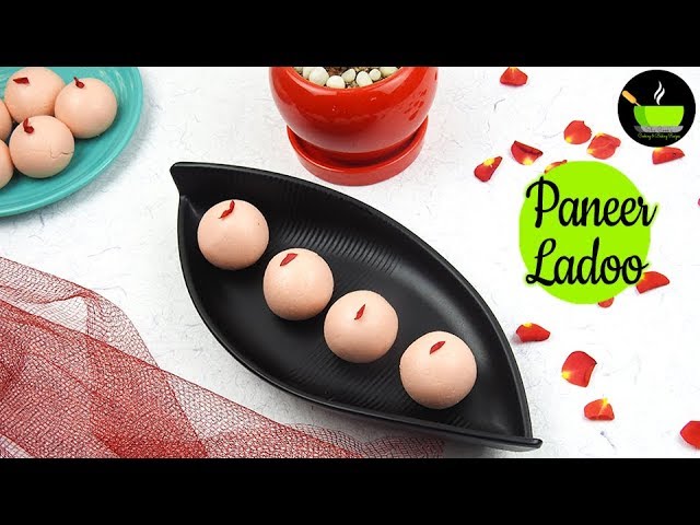 Paneer Ladoo Recipe | Malai Ladoo | Cooking Without Fire For School Competition | Fireless Cooking | She Cooks