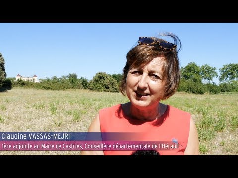 Hérault : Quel développement pour la ville de Castries ?