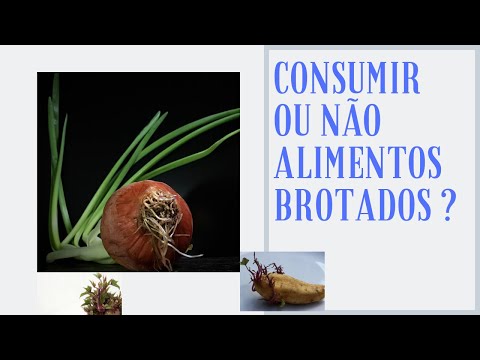 Vídeo: Alho germinado pode ser comido?