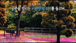 공원을 적시는 시원한 빗소리./ASMR/숙면/공부 집중/