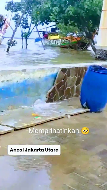 Air laut jakarta Utara yang memprihatinkan 🥺. #shorts #lautjakartautara #banjirrobjakarta