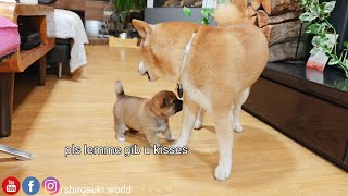 Nina Did The Unthinkable