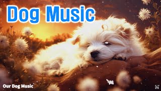 3 Hours Calming Sleep Music  Stress Relief Music, Insomnia, Relaxing Sleep Music ♬ Dog