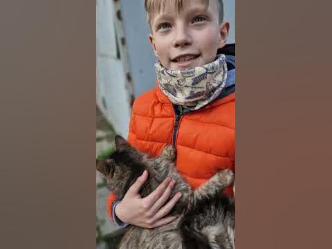 Киця мура - YouTube