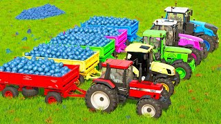 TRANSPORT BLUEBERRIES WITH JOHN DEERE & CASE & NEW HOLLAND & FENDT TRACTORS BATTLE  FS22