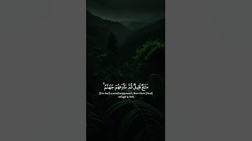 القاري محمد اللحيدان سورة ال عمران #القرأن_الكريم_راحة_نفسية 🎧❤️‍🩹🍀
