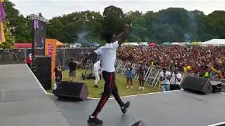 Kuami Eugene live at Party In The Park 2019