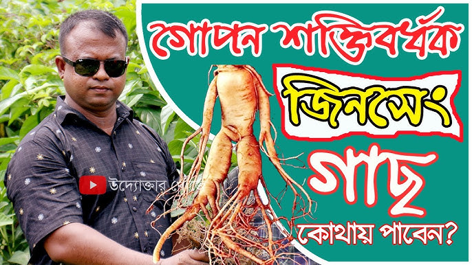 Jinsiy mashina kulrang