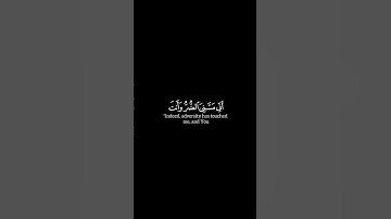﴿ ۞ وأيوب إذ نادى ربه ﴾ - الآية ٨٣ - سورة الأنبياء - عبد الباسط عبد الصمد - شاشة سوداء