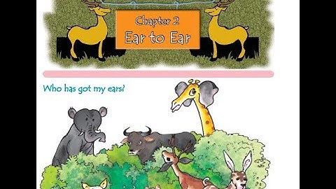 CLASS 4 | EVS | CHAPTER 2 |  EAR TO EAR | NCERT | CBSE | EXPLANATION IN HINDI | SOLUTION | KV