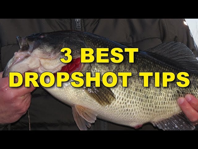 The Best Dropshot Tips (Because They Work!)