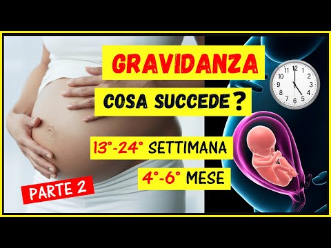 Video: Cosa Succede Dopo 15 Settimane Di Gravidanza