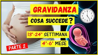 Gravidanza:cosa succede settimana per settimana, mese per mese? Cambiamenti 13-24 settimana/4-6 mese