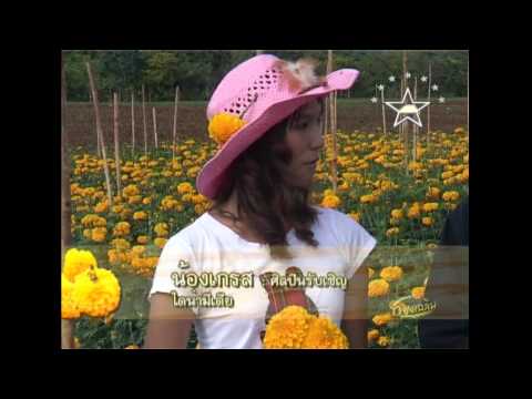 วิธีการปลูกดาวเรือง part2.wmv
