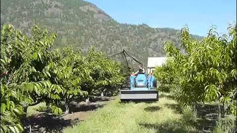 Bird Net Applicator in Action