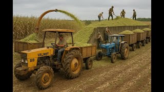 Serie Agronorte #12 primeiro dia colhendo milho pro preparo da silagem da fazenda do Seu Alan screenshot 5