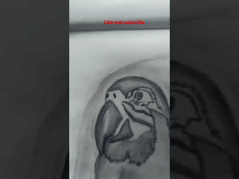 Simple macaw making#shorts