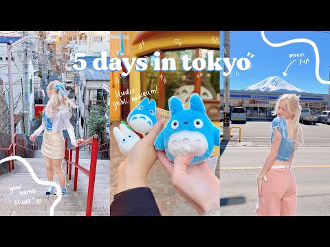 spend 5 days with us in tokyo ♡ mt. fuji, studio ghibli museum & your name stairs ♡phegotflare