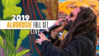 California Roots X  Alborosie (Full Set)