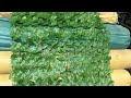 Artificial Green Fencing for Interior &amp; Exterior Decoration
