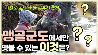 배우 박철민, 섬으로 가다 | 맹골군도에서만 맛볼 수 있는 이것은 무엇?