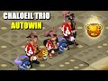 Dofus chaloeil trio autowin tutoriel cra  enu  x