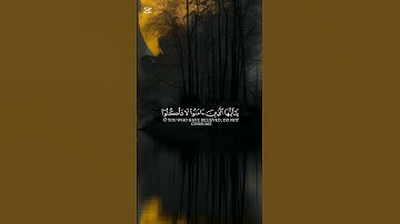 تلاوة هادئة من سورة النساء بصوت القارئ:محمد اللحيدان #قران_كريم #تلاوة_خاشعة #محمد_اللحيدان #هدوء