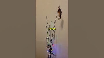 You Won’t Believe This Christmas Tree Idea 😂