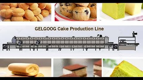 GELGOOG® Cake Production Line / Bakery Cakes Factory Machine