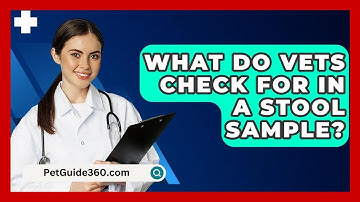 What Do Vets Check For In A Stool Sample? - PetGuide360.com