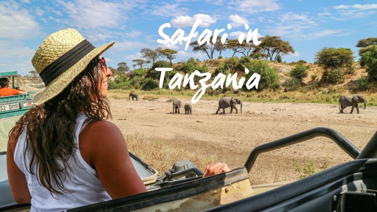 youtube tanzania safari