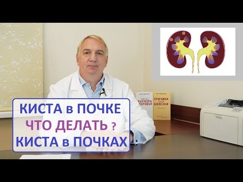 Бейне: Крахмалды ыдырататындар дегеніміз не?