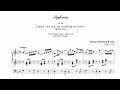 J. S. Bach - Sinfonia &quot;Ich steh&#39; mit einem Fuß im Grabe&quot; | BWV 156 (Hauptwerk - Zöblitz)