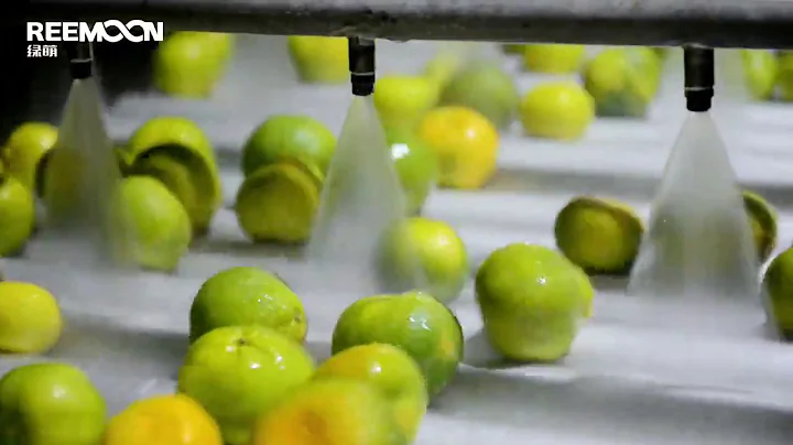 Orange sorting machines, Oranges grading equipments, Orange sorter washing processing sizing lines.